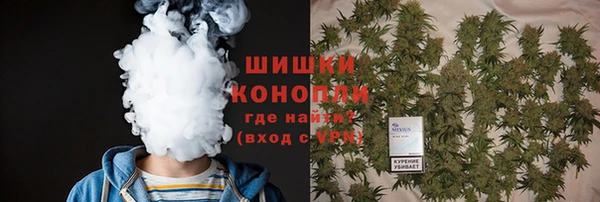 метадон Горнозаводск