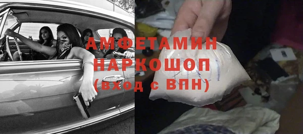 шишки Горно-Алтайск