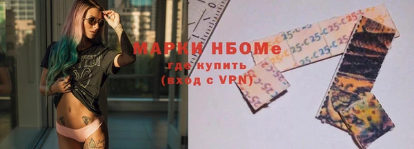 шишки Горно-Алтайск