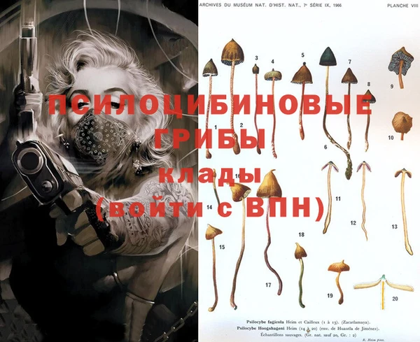 метадон Горнозаводск