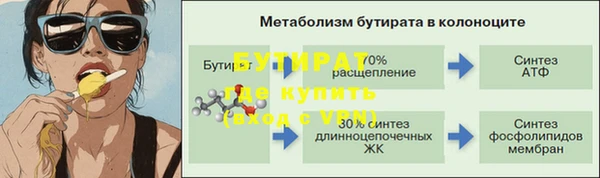 шишки Горно-Алтайск