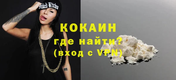 шишки Горно-Алтайск