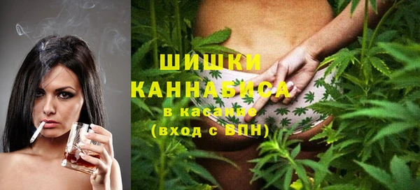 шишки Горно-Алтайск