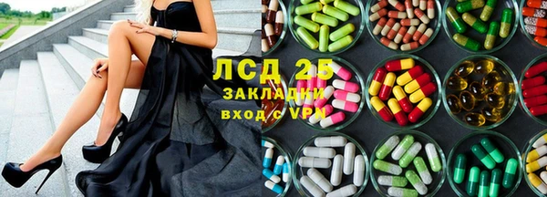 шишки Горно-Алтайск
