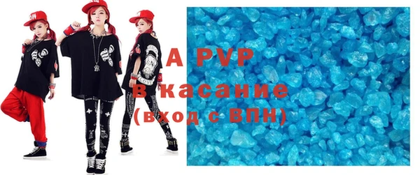 шишки Горно-Алтайск