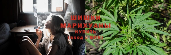 шишки Горно-Алтайск