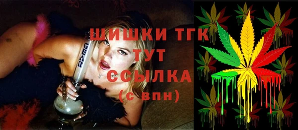 шишки Горно-Алтайск