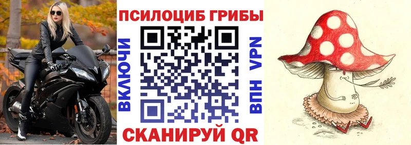 blacksprut ссылка  Мытищи  Галлюциногенные грибы Magic Shrooms 