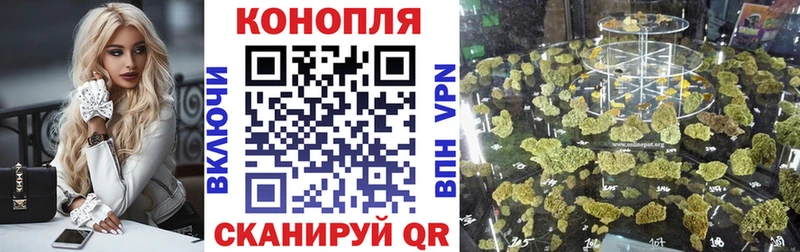 дарк нет формула  гидра tor  Канабис тримм  Мытищи  где продают  